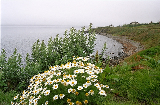 Agosto: Islanda