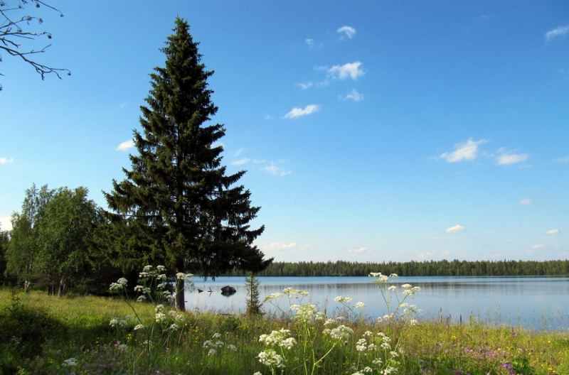 Agosto: Lapponia