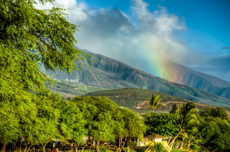 Novembre: Hawaii