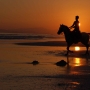 Spiaggia di Dhofar
