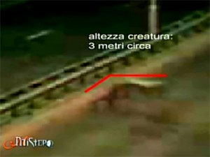 Mistero su Italia 1: video choc di un avvistamento alieno.