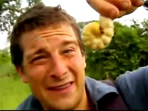 bear-grylls-mangia-larve-300x225