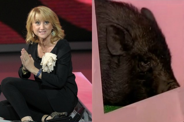 Luciana Littizzetto indagata per maltrattemento sugli animali in tv.