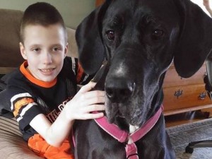 Hunter, il bambino con paralisi cerebrale che torna a camminare grazie al suo cane