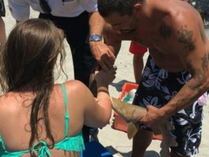 Florida, donna portata in ospedale con uno squalo attaccato al braccio