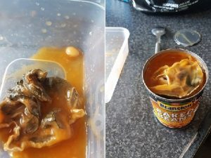 Trova una disgustosa ?creatura? nei suoi fagioli: ?Orribile, non li manger? mai pi??