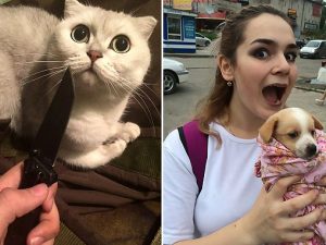 Crocifigge un cane e strappa il cuore di un gatto, poi posta tutto su FB: 17enne arrestata