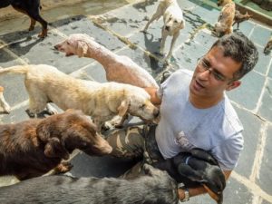 Quest'uomo si prende cura di 735 cani: