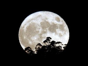 Superluna, torna per la terza e ultima volta nel 2016 lo spettacolo del nostro satellite