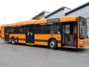 ?L?attentatore di Istanbul ? sul mio autobus?, scatta l'allarme a Udine