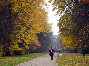 Violenta una ragazza in un parco poche ore prima di sposare la compagna incinta, arrestato