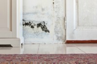 Come togliere le macchie dal muro? – DOLFO