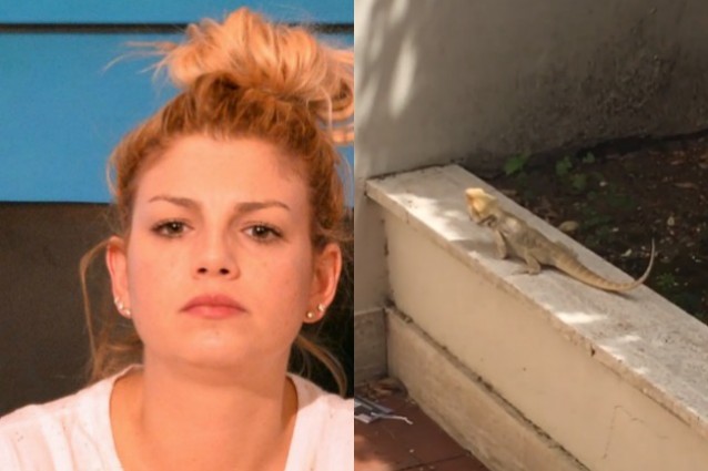 Iguana nel giardino di Emma Marrone, la cantante chiama il 113