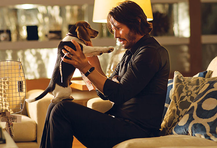 La Fortuna Aiuta Gli Audaci John Wick
