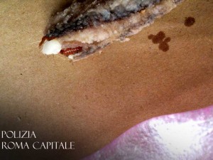 roma-ristorante-insetti