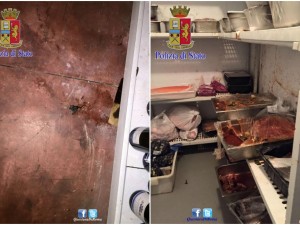 Topi morti nel magazzino: chiuso un ristorante cinese a Ostia (FOTO)