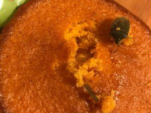 Mangia una merendina e trova una cimice all'interno: 