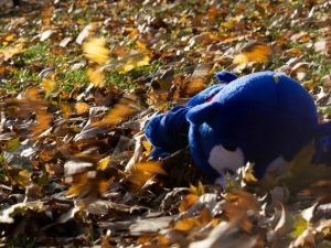Sessantenne si uccide nel giorno dei funerali della madre: trovata abbracciata a un peluche