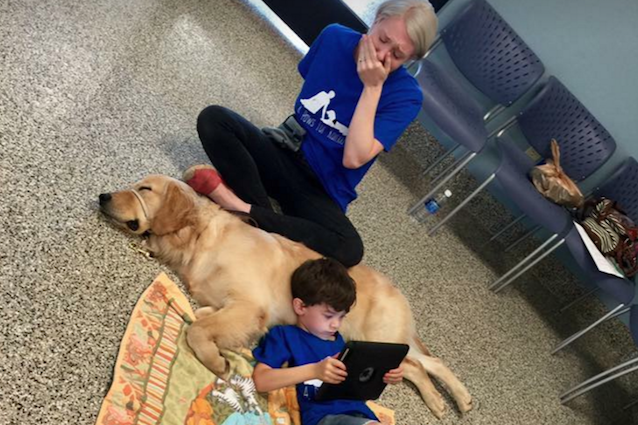 Bimbo autistico fa amicizia con un cane perché questa