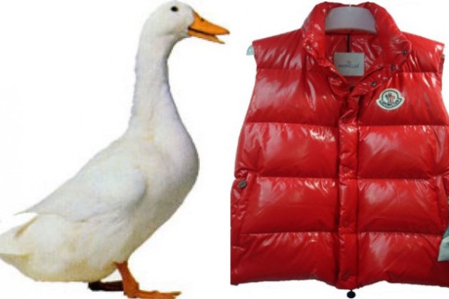 moncler oche moncler oche