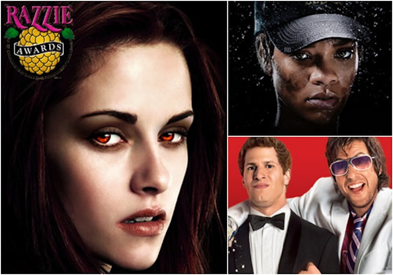 Razzie Awards 2013