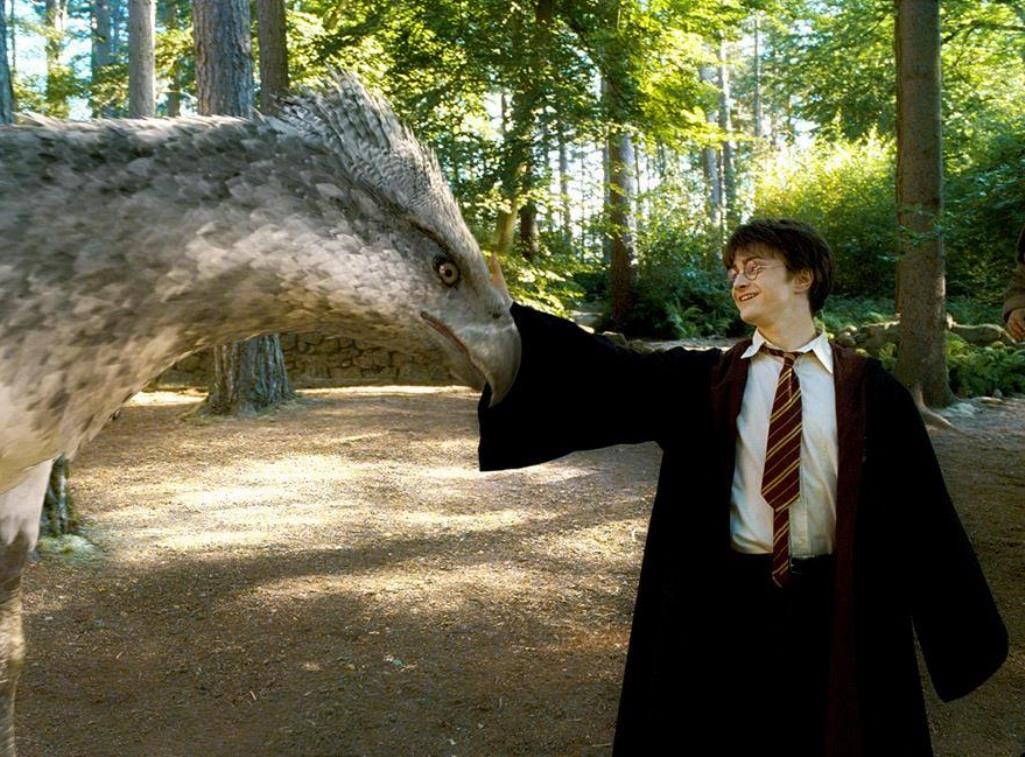 Animali Fantastici è Il Continuo Di Harry Potter