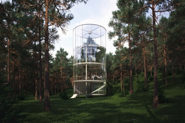 Vivere intorno ad un albero: ecco la casa di vetro che vi immerge nella natura