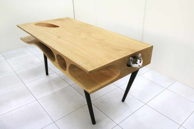 CATable: un tavolo per gli uomini, un paradiso per i gatti