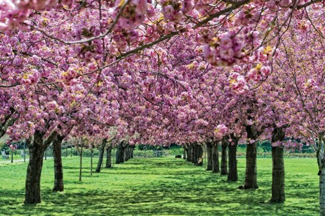I 5 giardini più belli del mondo