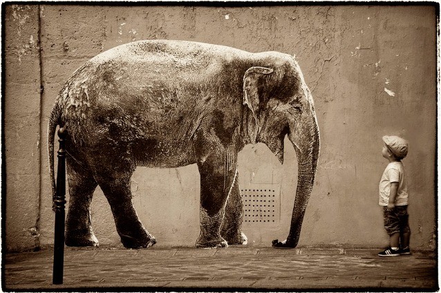 Parigi invasa dagli animali: la street art di Sophie