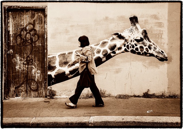 Girafe rue des Rondeaux – Sophie Photographie