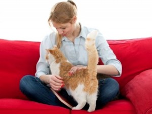 con il gatto sul divano