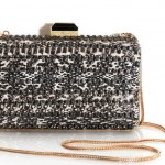 Lanvin clutch gioiello con catena