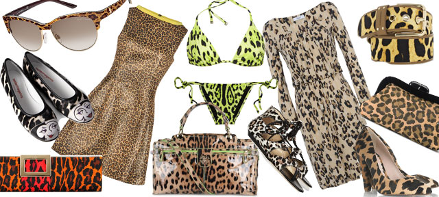 leopard