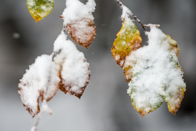 L'inverno ti fa bella, ecco i 5 benefici del freddo