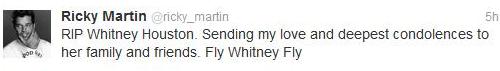 ricky martin