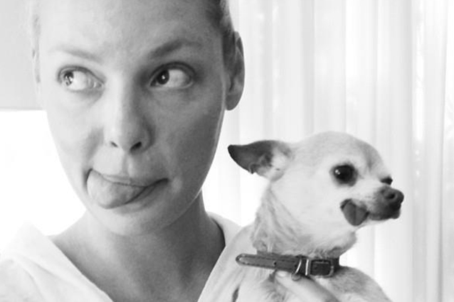 E' proprio vero che il cane è il miglior amico del "vip": ecco una rassegna di foto divertentissime dove i personaggi famosi si mostrano insieme ai loro inseparabili compagni.