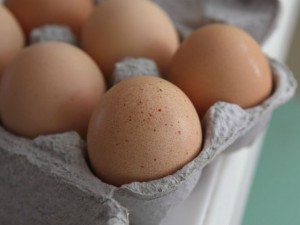 Uova contaminate, "in Lombardia nessun caso sospetto"