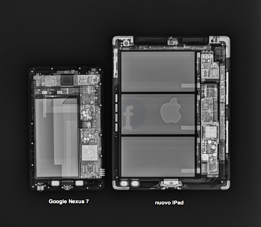 nexus_7_xray_fanpage_0.jpg