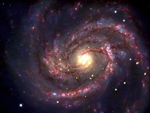 la stella divorata che rivela il buco nero