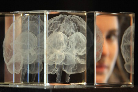 Dislessia, imputato un gene