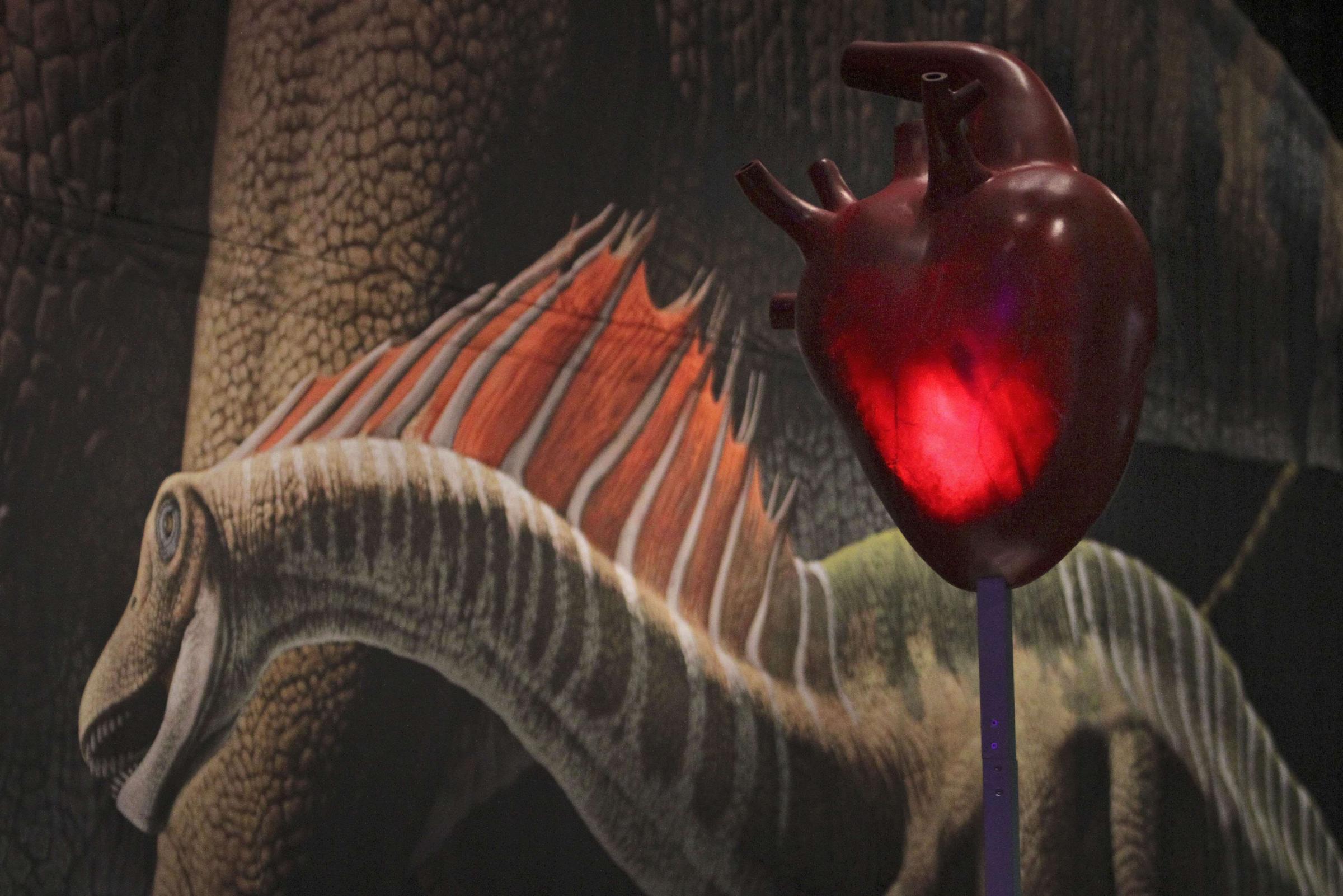 dinosauri_cuore