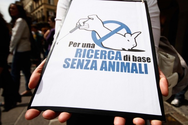 Brescia, la battaglia degli animalisti contro 'Green Hill'