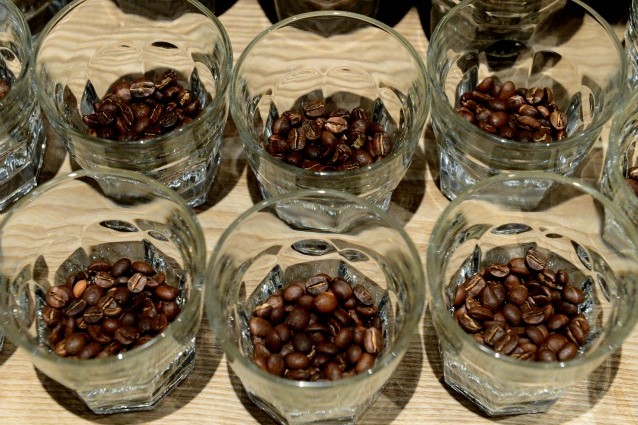 caffe rischia estinzione arabica