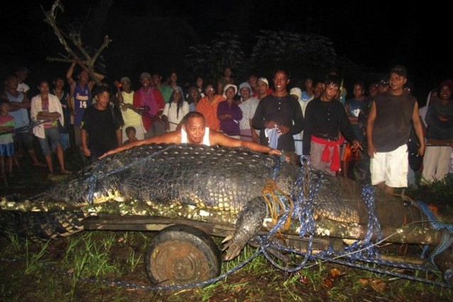 lolong coccodrillo piu grande del mondo morto