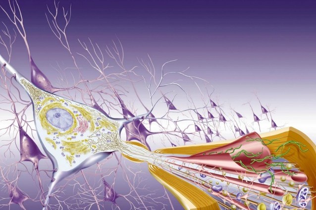 morbo alzheimer i malati triplicheranno entro il 2050