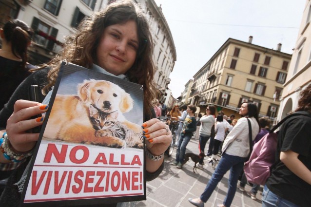 Brescia, la battaglia degli animalisti contro 'Green Hill'