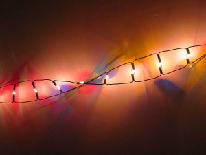 dna luci