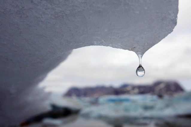 Il riscaldamento globale farà estinguere un terzo delle specie animali. E l’uomo?