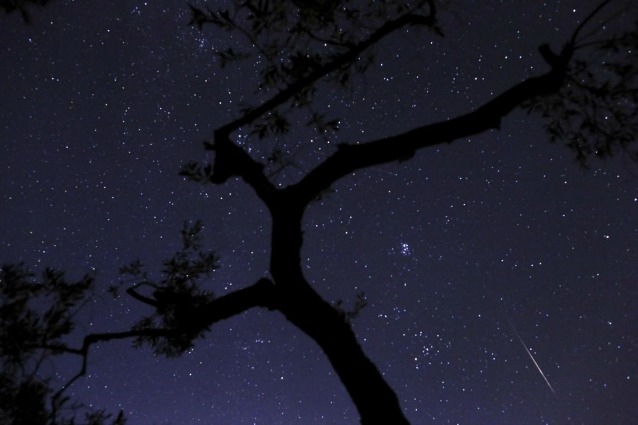 Stelle cadenti, c'è ancora tempo per molti desideri
